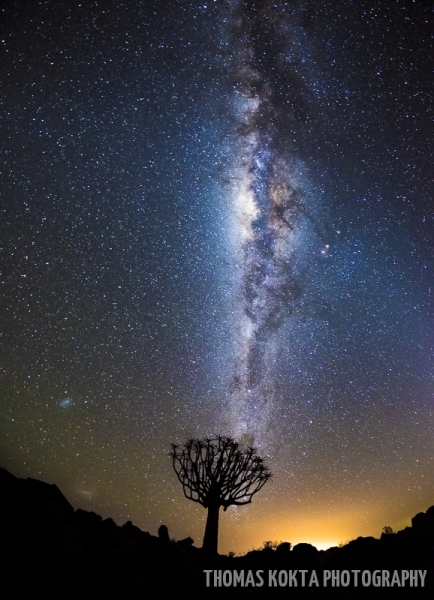 ThomasKoktaPortfolioLandSeaSkySQuverTreesatNight