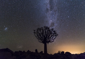 Night Sky in Namibia