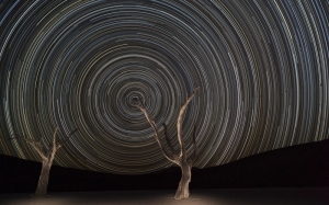 Star Trails and Camel Thorn Trees