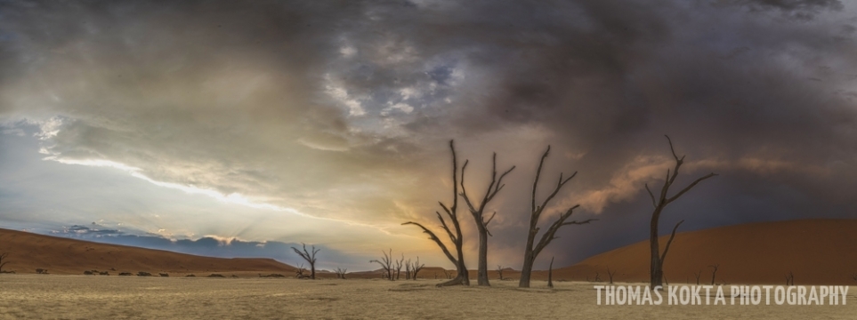 ThomasKokta_deadvlei2_landscape