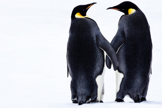 Holding-Hands-scaled