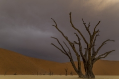 Landscapes