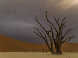 Deadvlei_Namibia